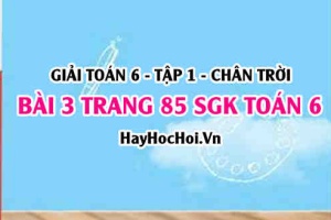 Giải bài 3 trang 85 Toán 6 Tập 1 SGK Chân trời sáng tạo